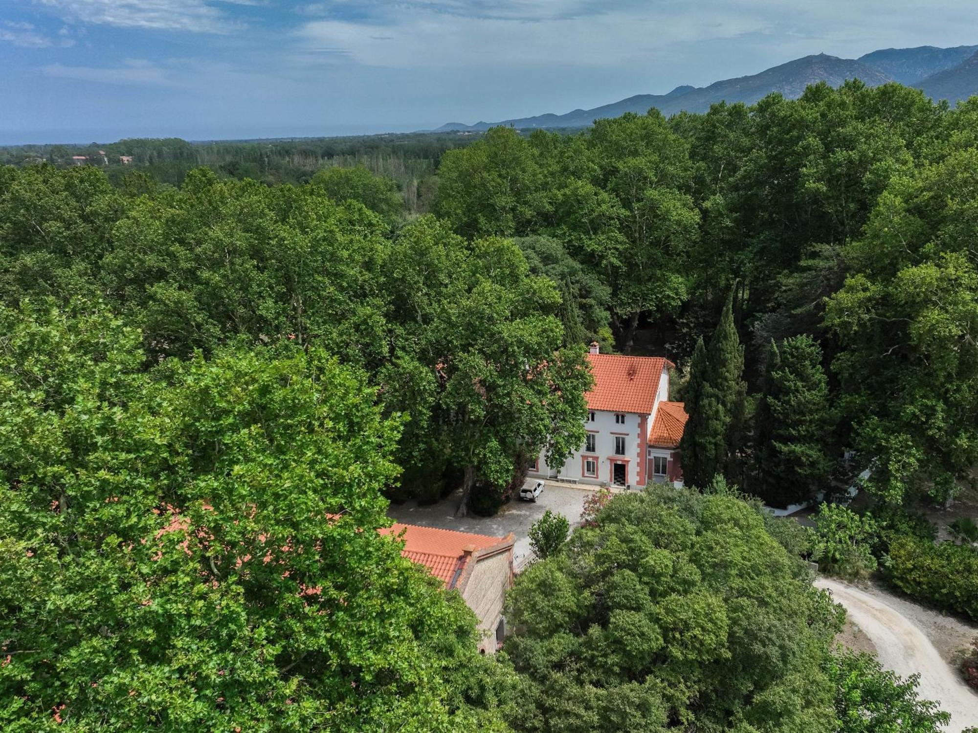 Gites Du Castell De Bles Saint-Genis-des-Fontaines Exterior photo